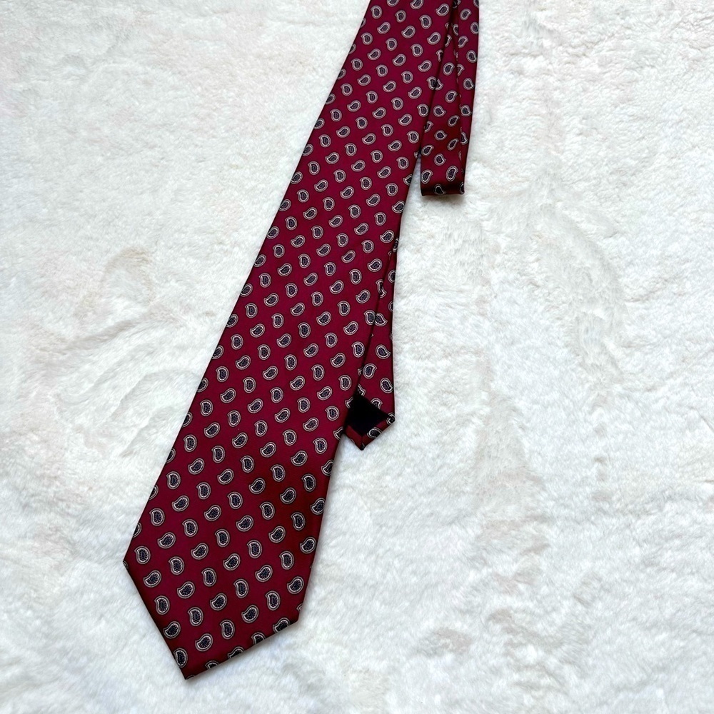 Enrico Guccini Ties